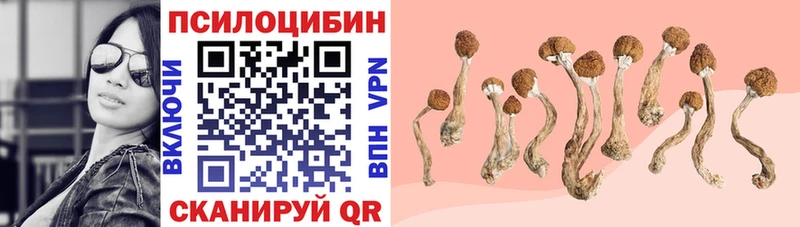 Галлюциногенные грибы Cubensis  Белая Калитва 